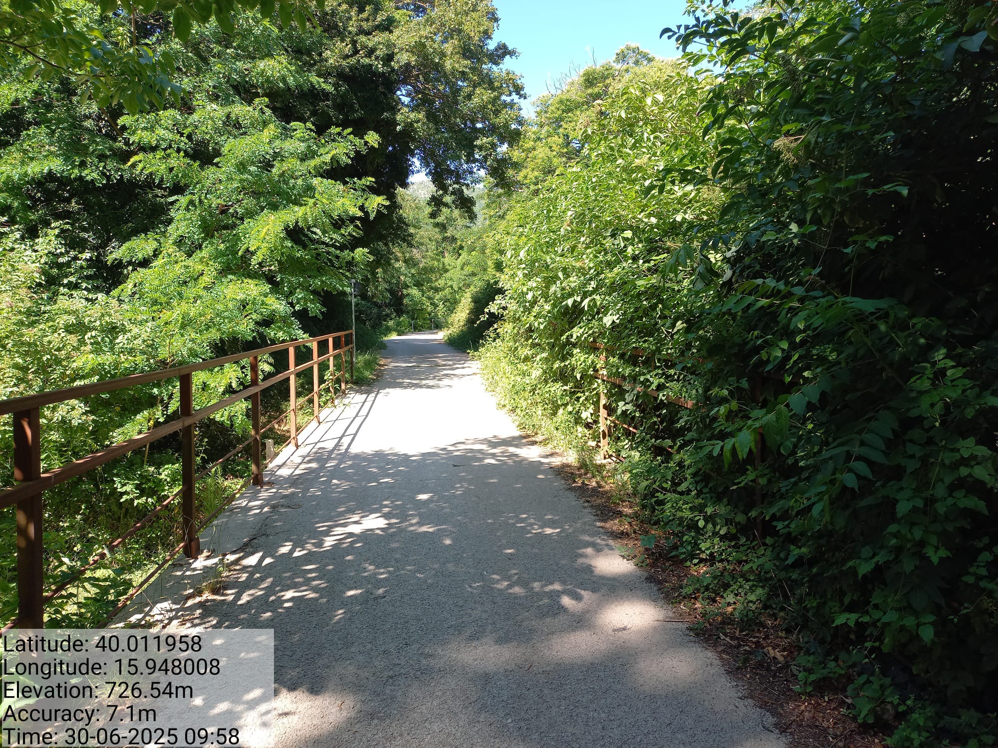 Galleria Fotografica Immagine