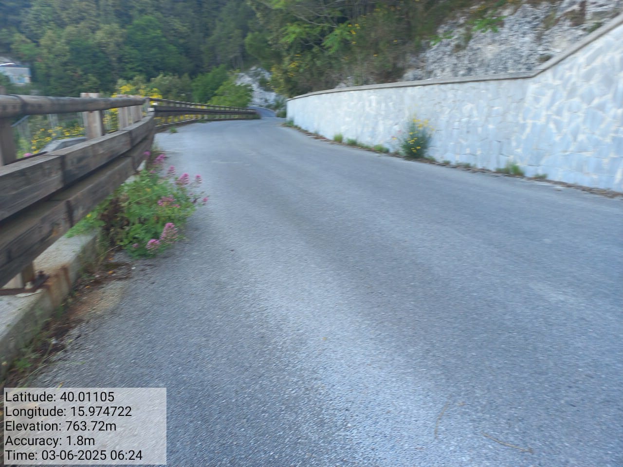 Galleria Fotografica Immagine