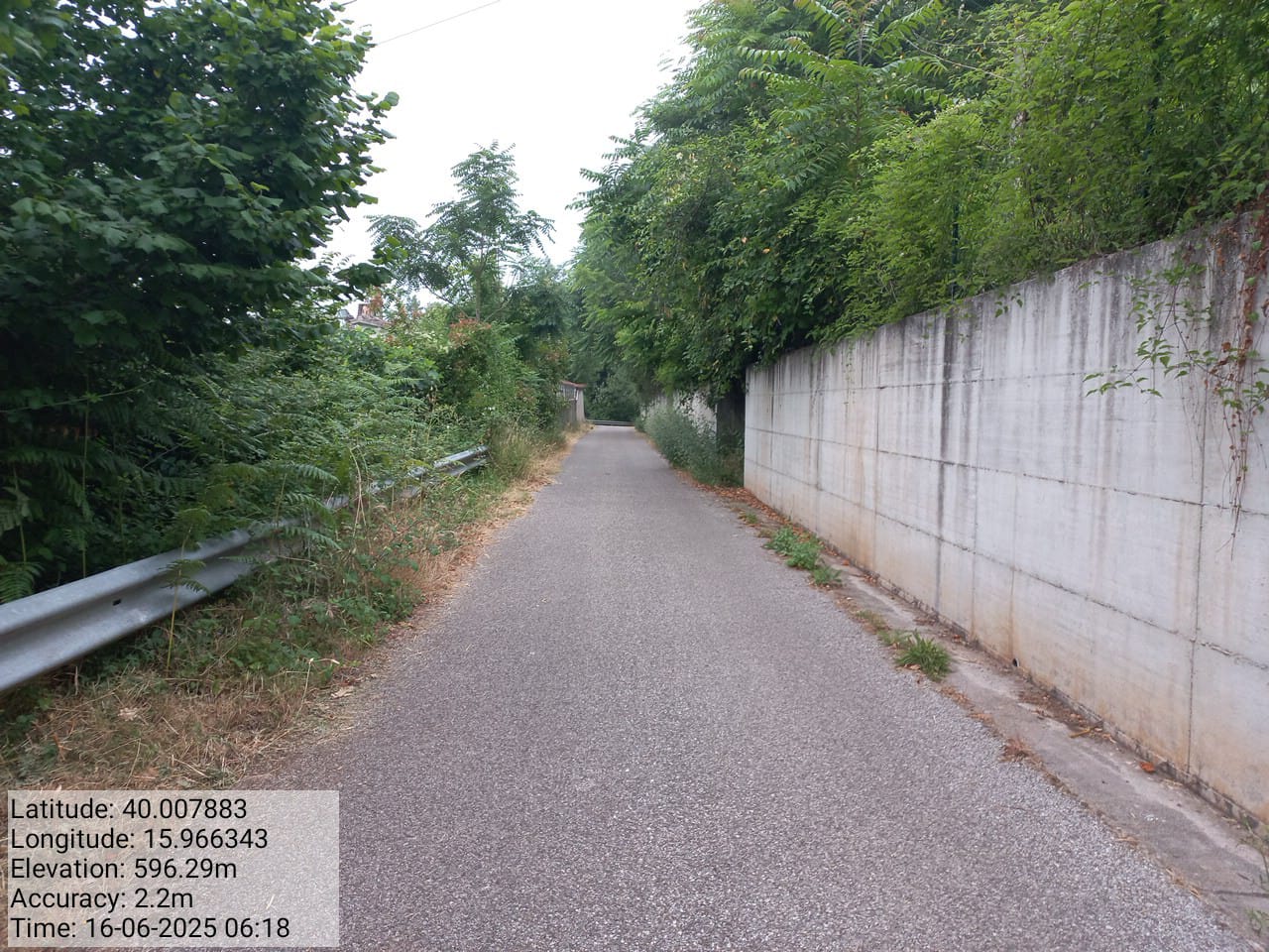 Galleria Fotografica Immagine