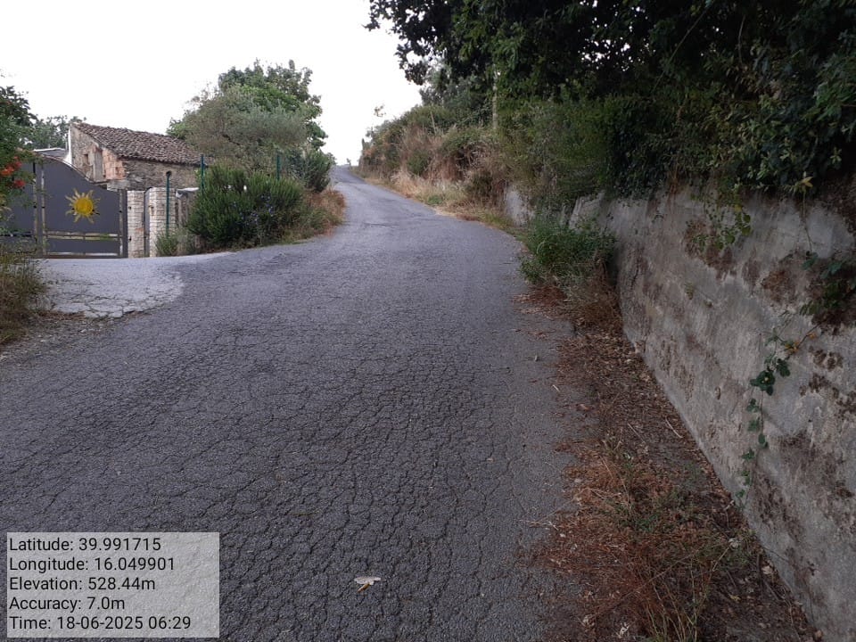 Galleria Fotografica Immagine