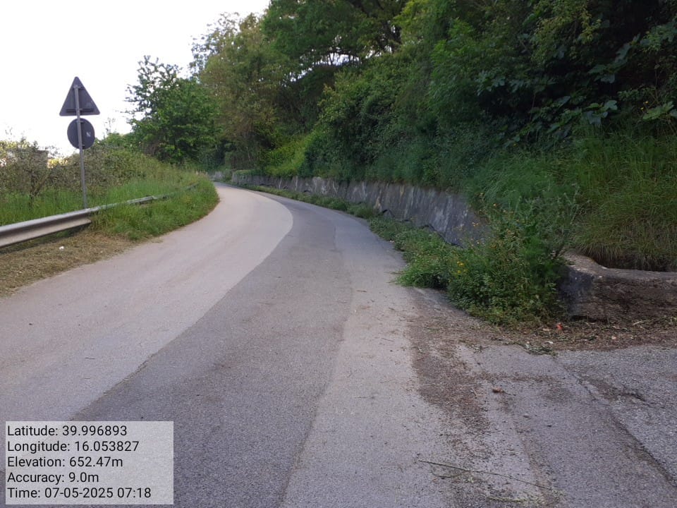 Galleria Fotografica Immagine