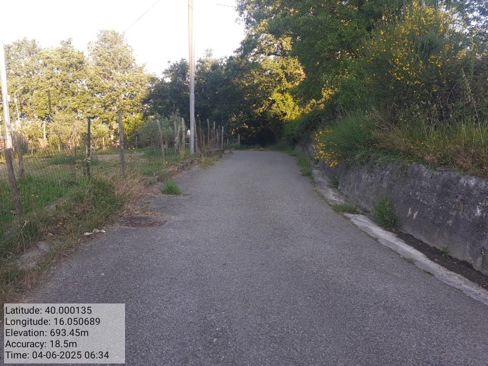 Galleria Fotografica Immagine