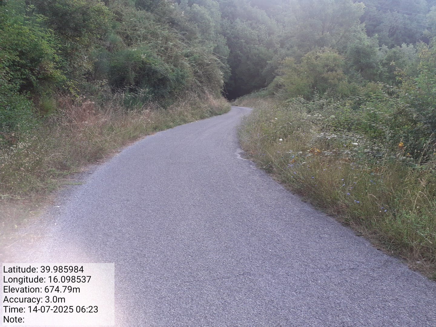 Galleria Fotografica Immagine