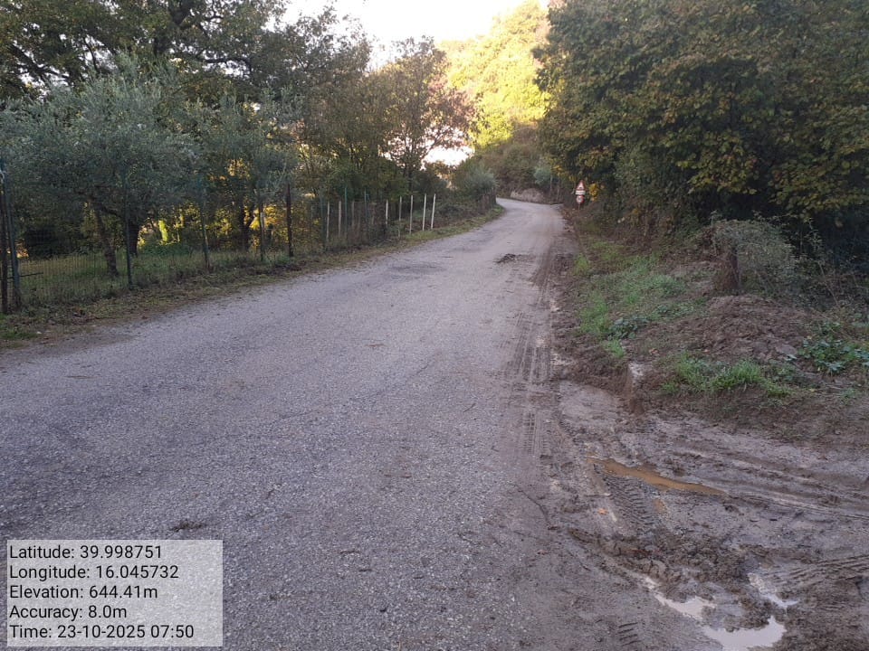 Galleria Fotografica Immagine