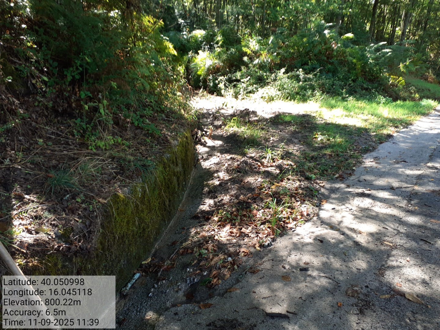 Galleria Fotografica Immagine