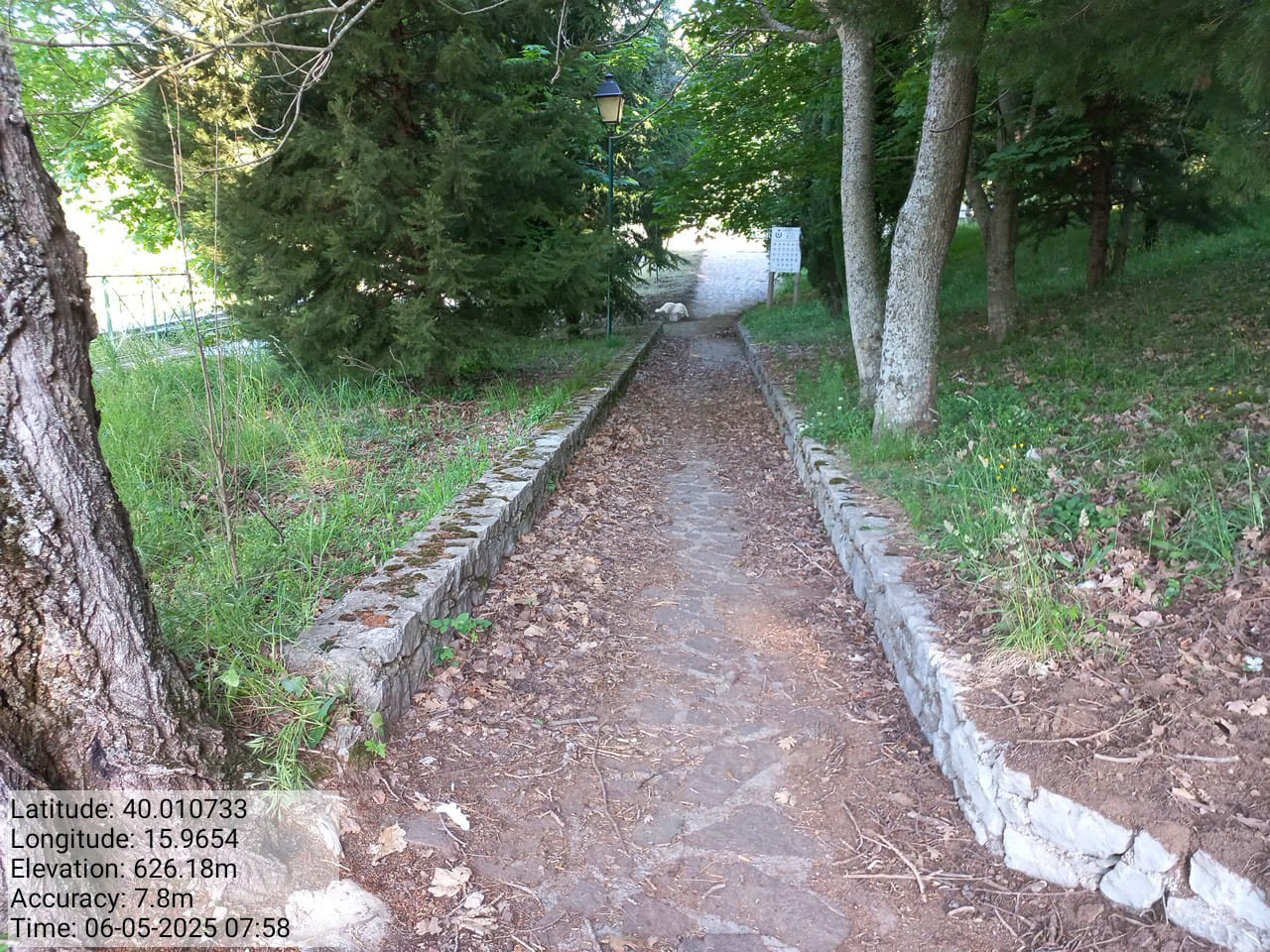 Galleria Fotografica Immagine