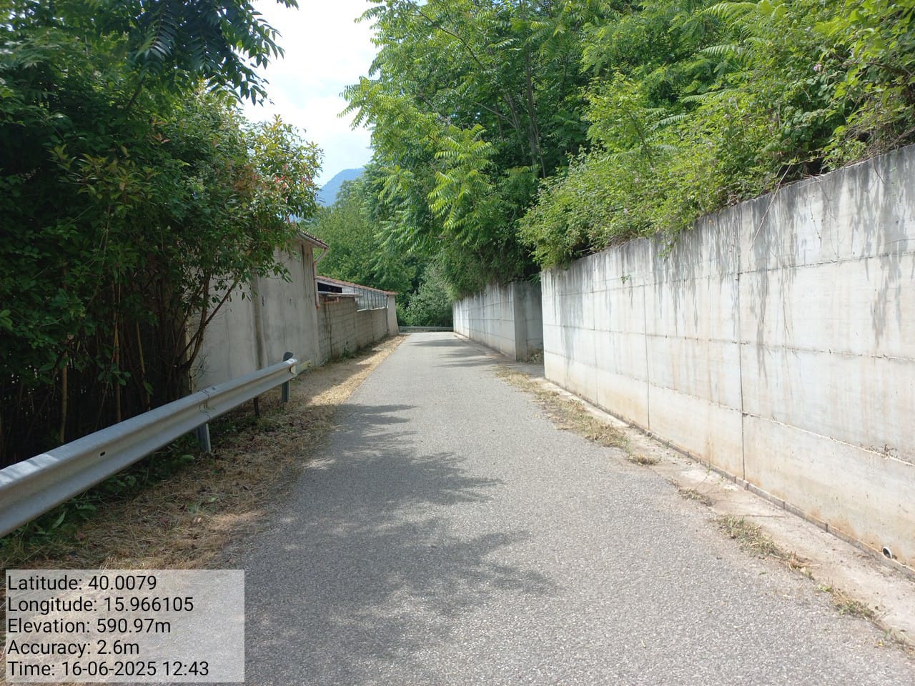 Galleria Fotografica Immagine