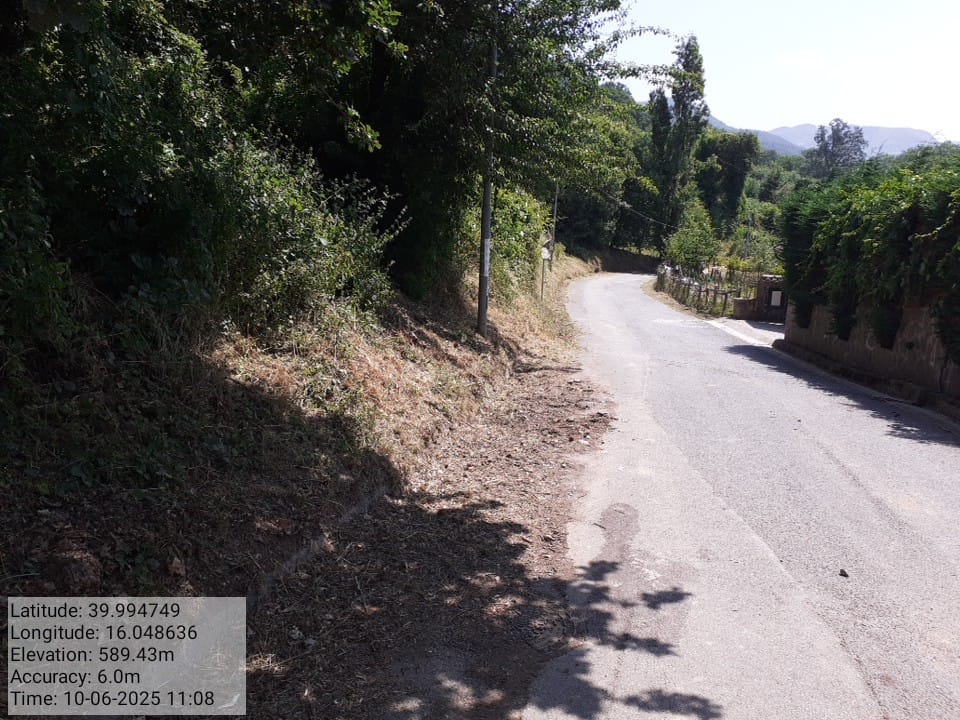 Galleria Fotografica Immagine