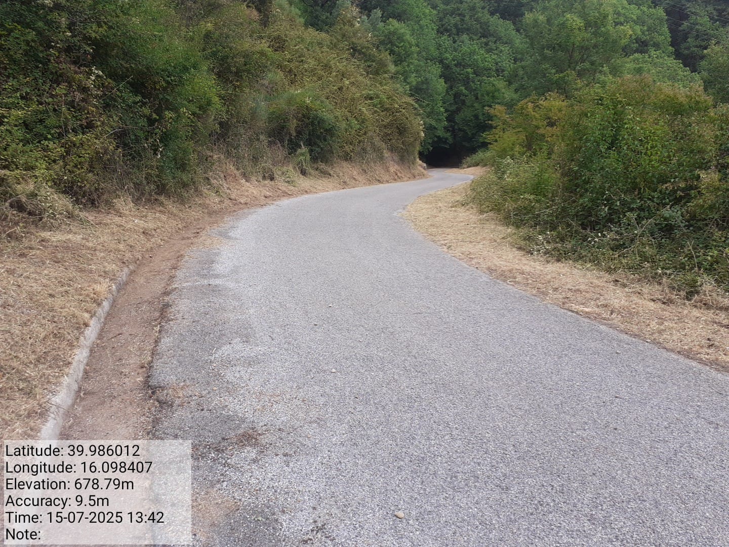 Galleria Fotografica Immagine