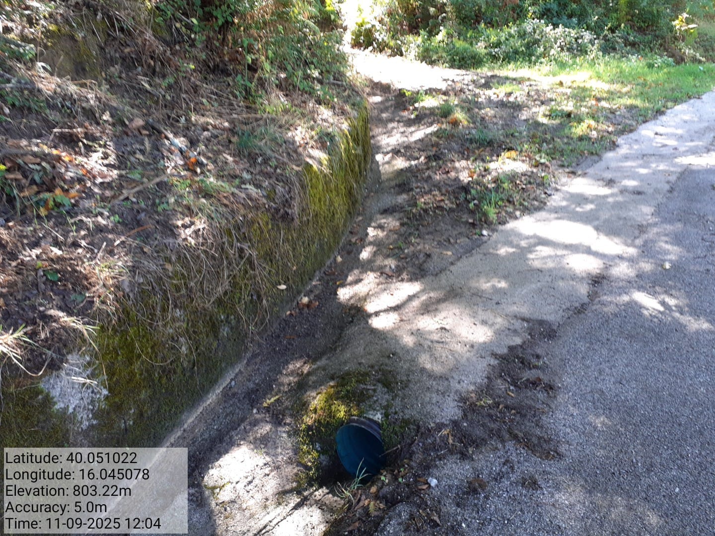 Galleria Fotografica Immagine