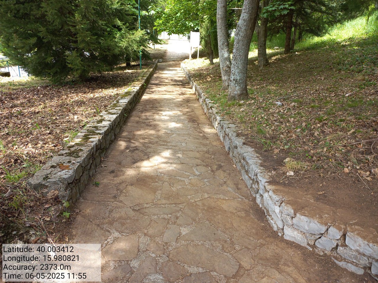 Galleria Fotografica Immagine