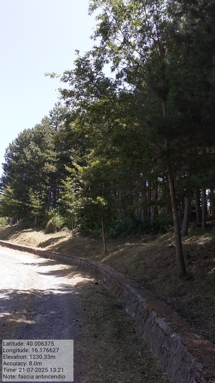 Galleria Fotografica Immagine