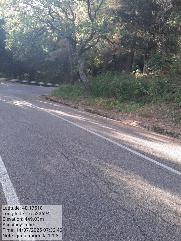 Galleria Fotografica Immagine