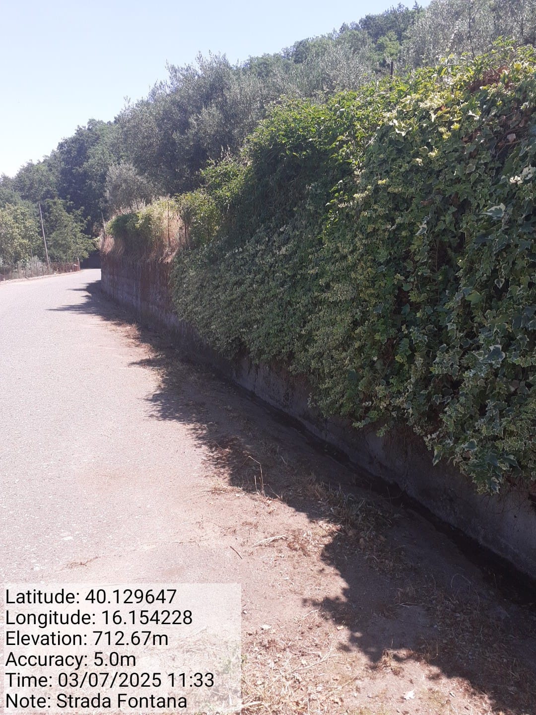 Galleria Fotografica Immagine