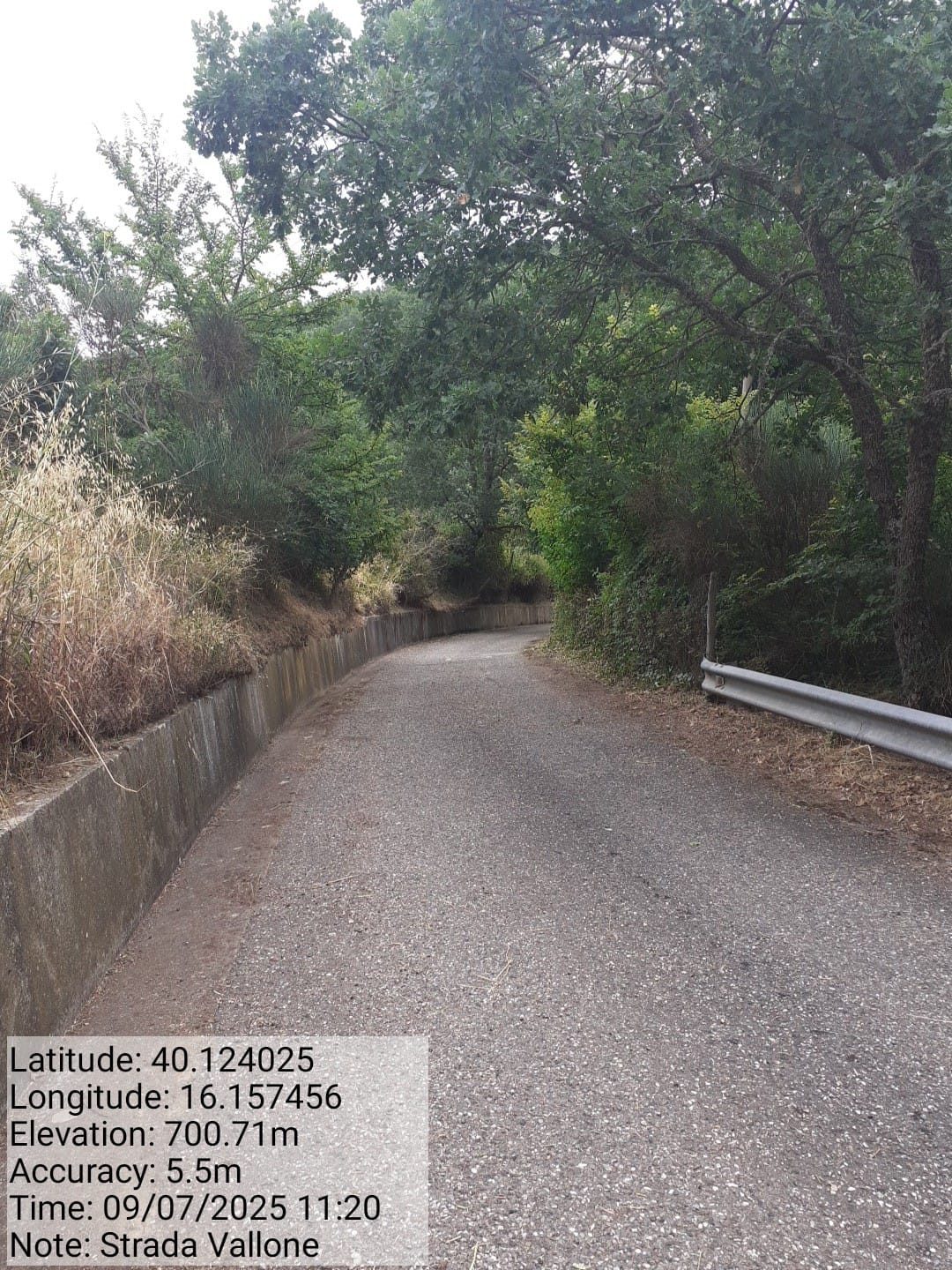 Galleria Fotografica Immagine