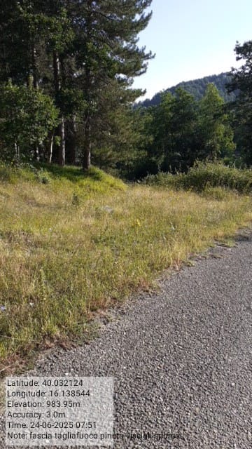 Galleria Fotografica Immagine