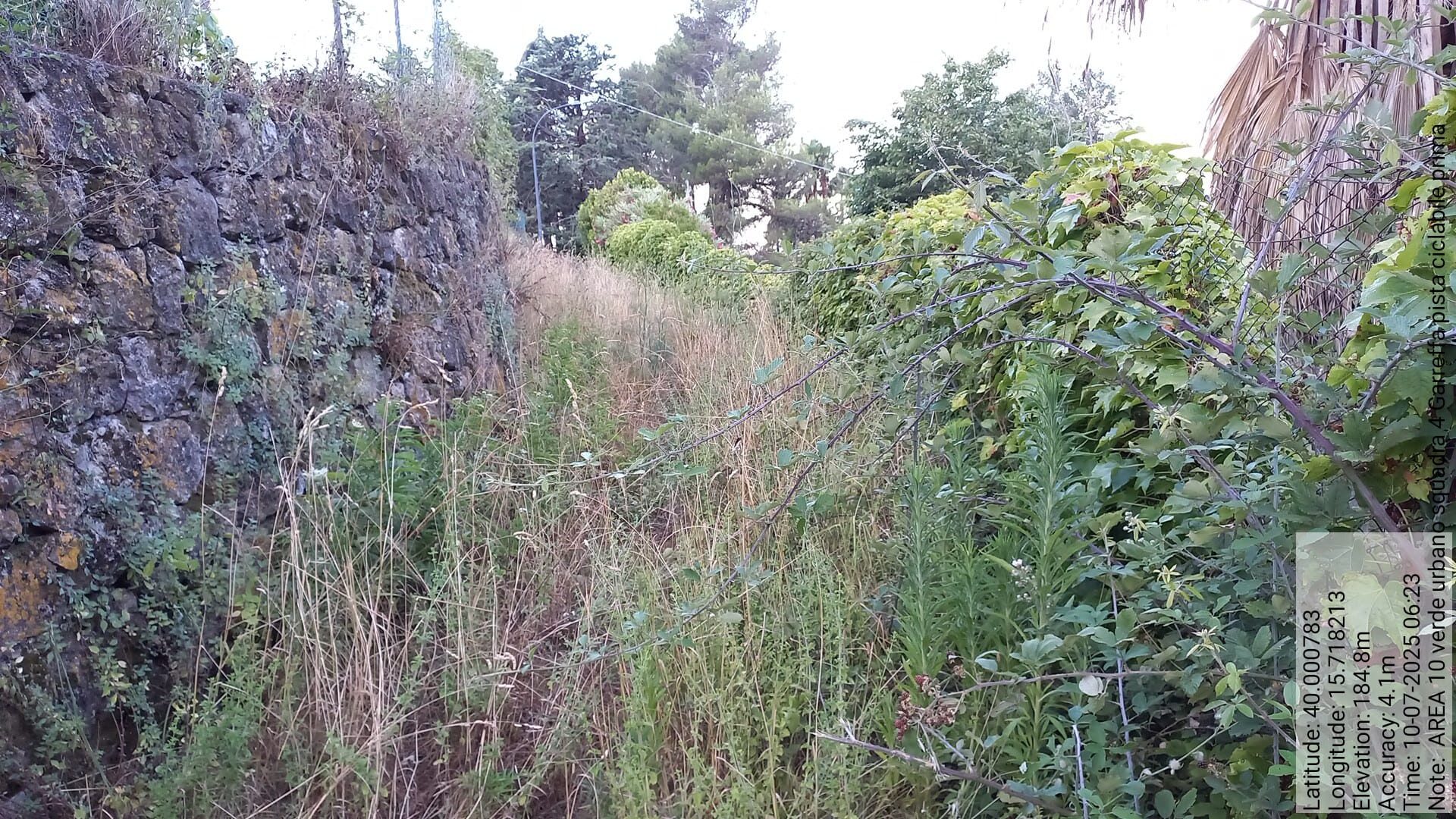 Galleria Fotografica Immagine