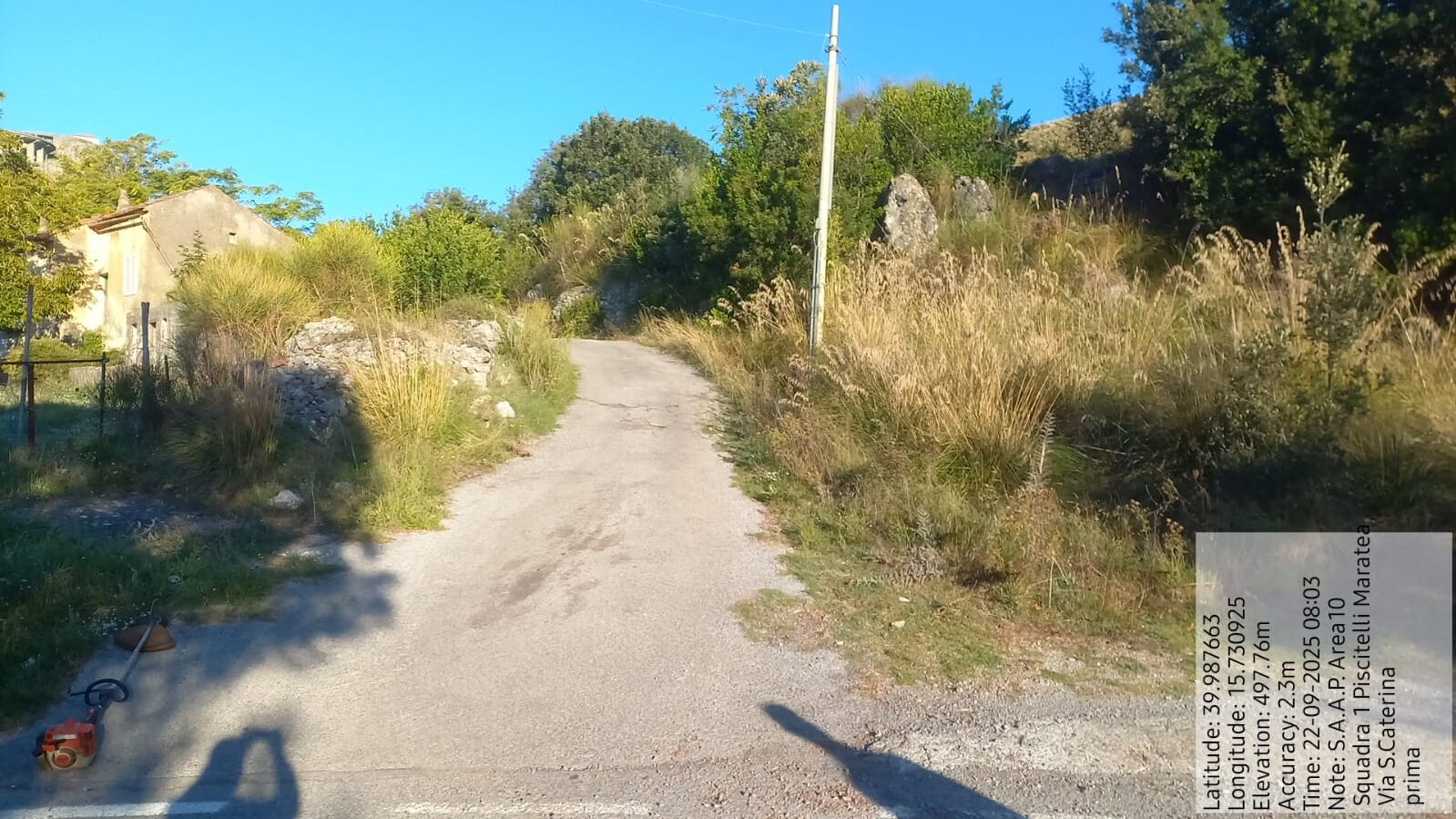 Galleria Fotografica Immagine