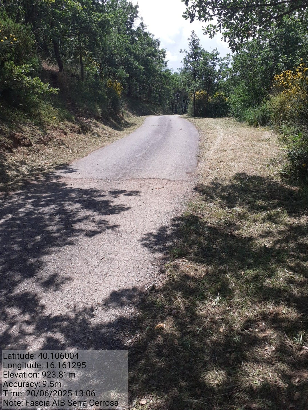 Galleria Fotografica Immagine