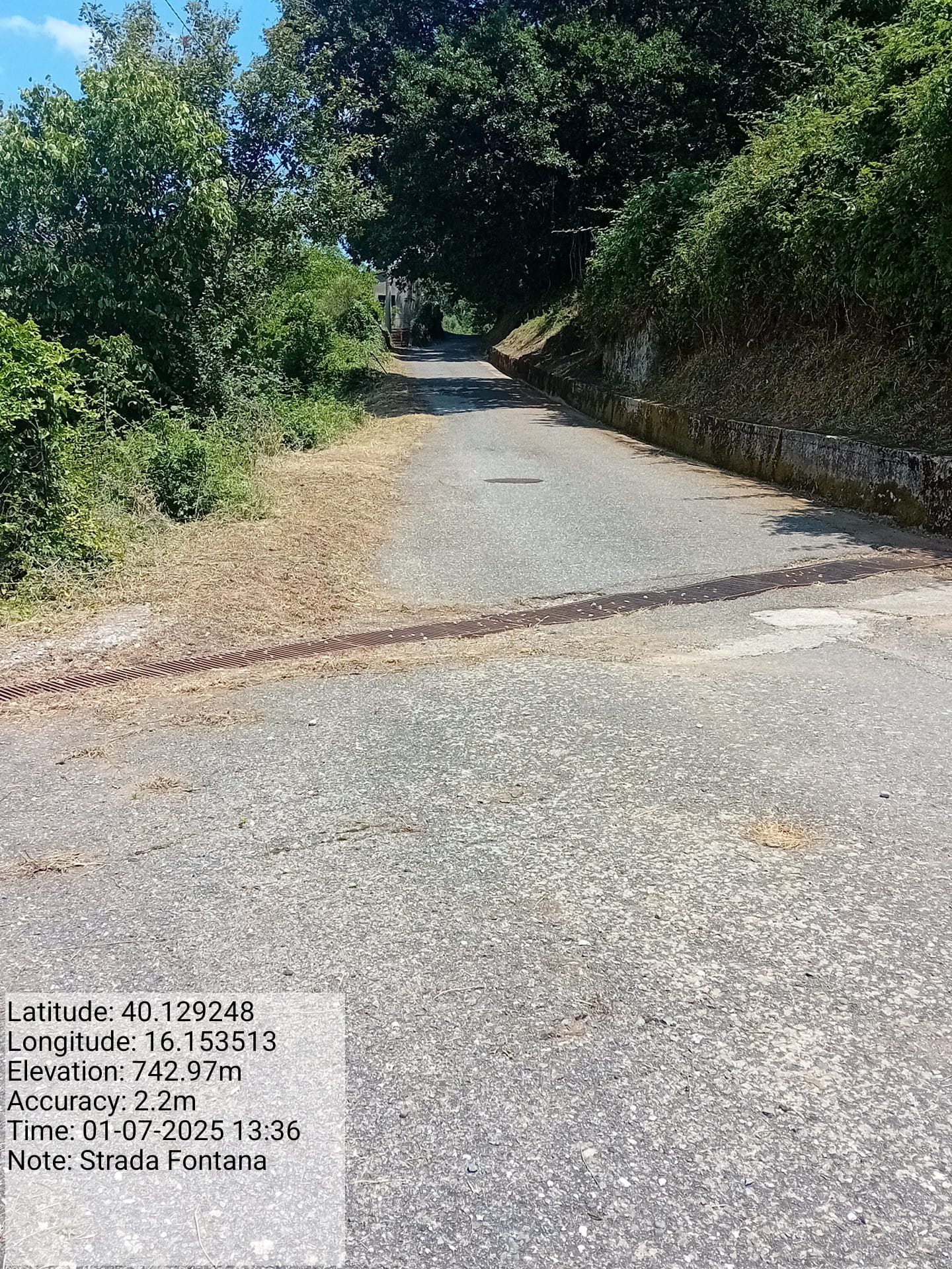 Galleria Fotografica Immagine