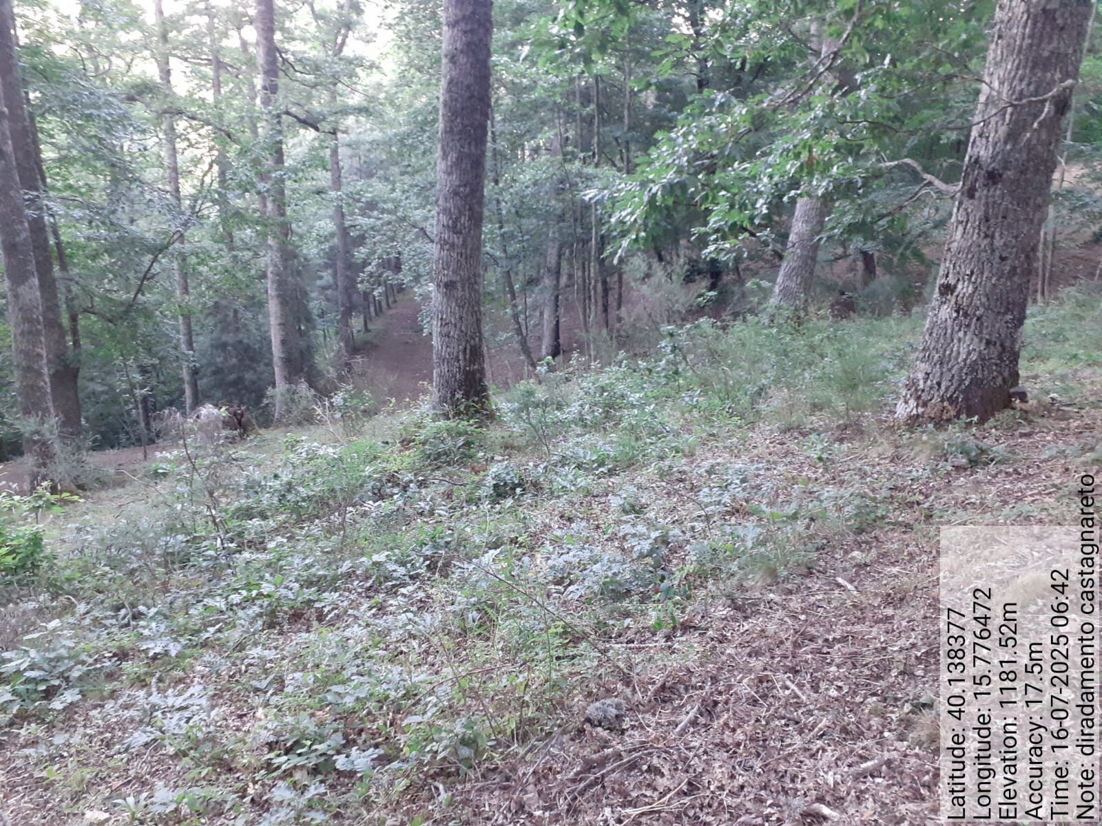 Galleria Fotografica Immagine