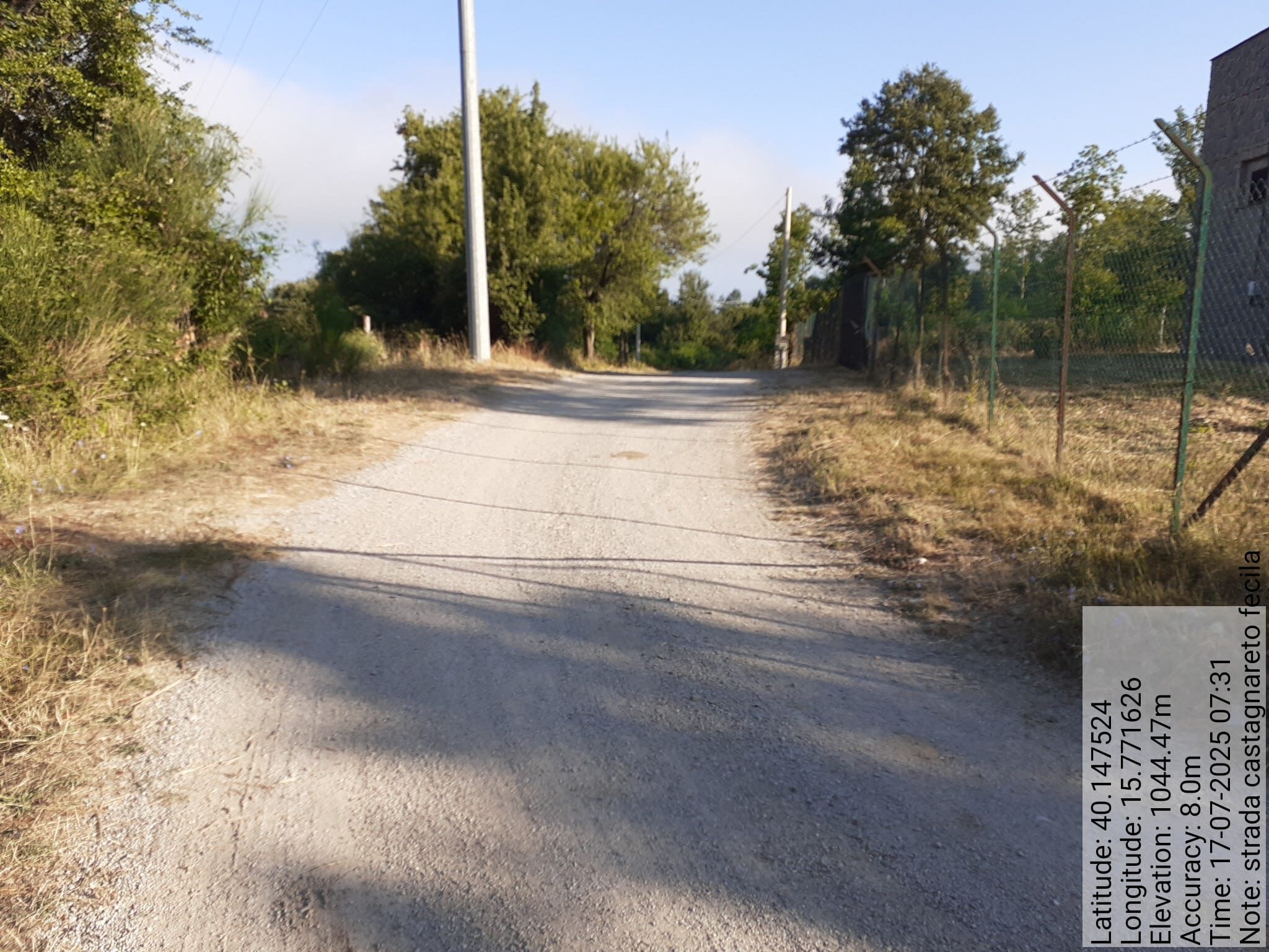 Galleria Fotografica Immagine