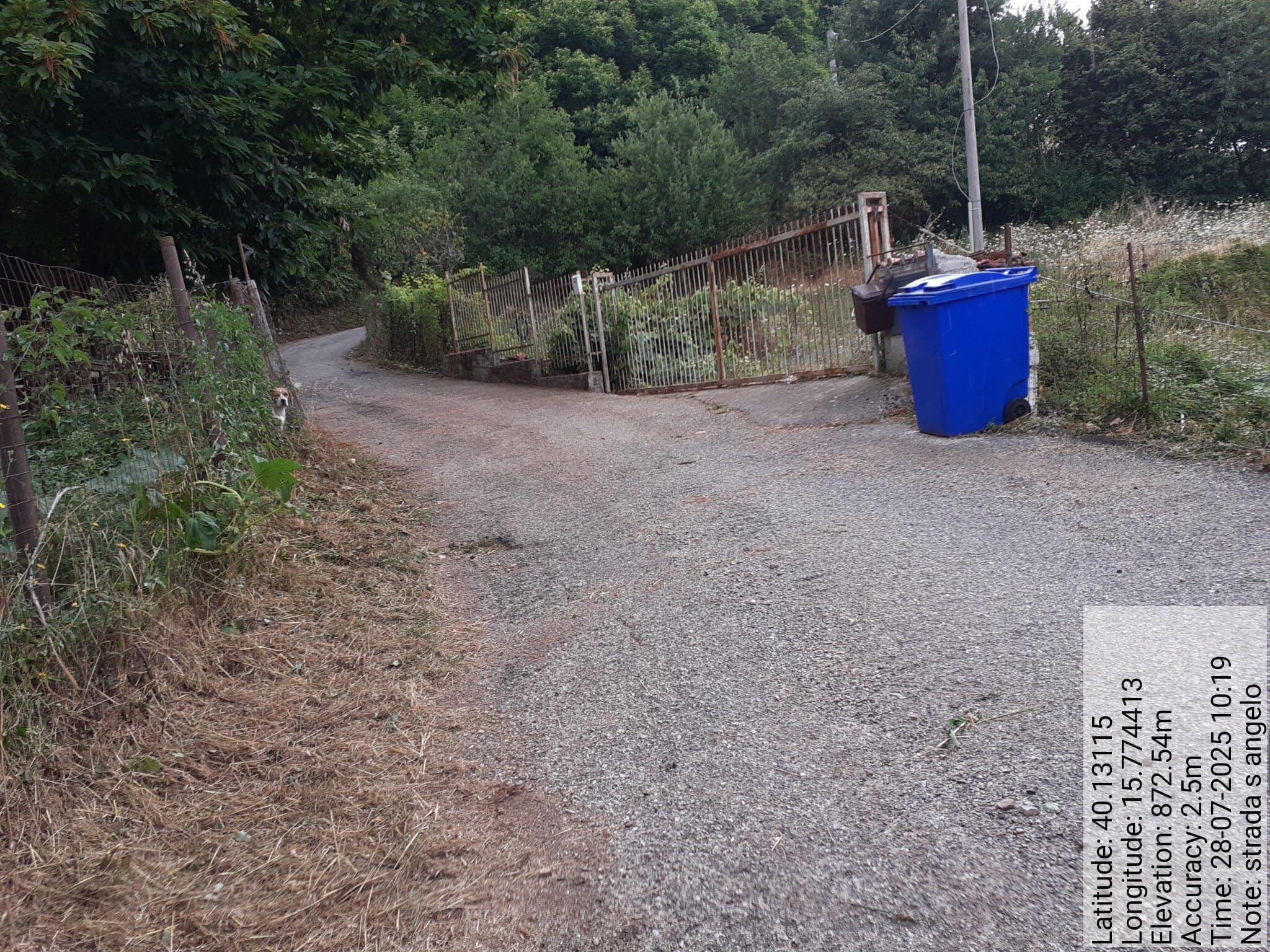 Galleria Fotografica Immagine