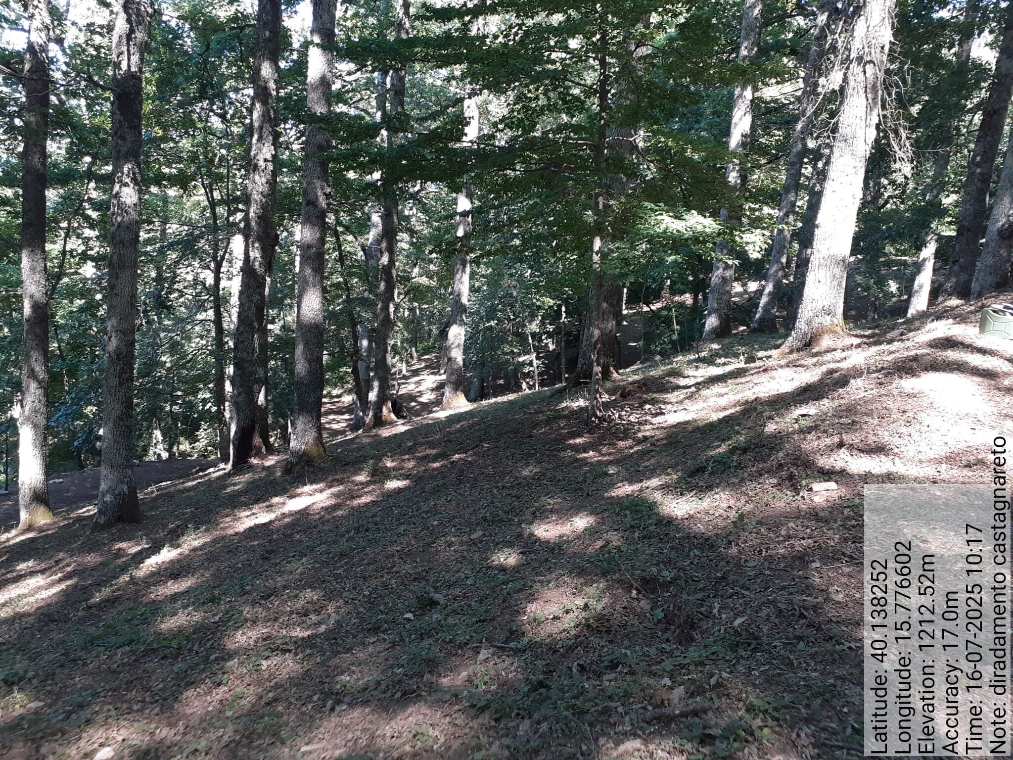 Galleria Fotografica Immagine