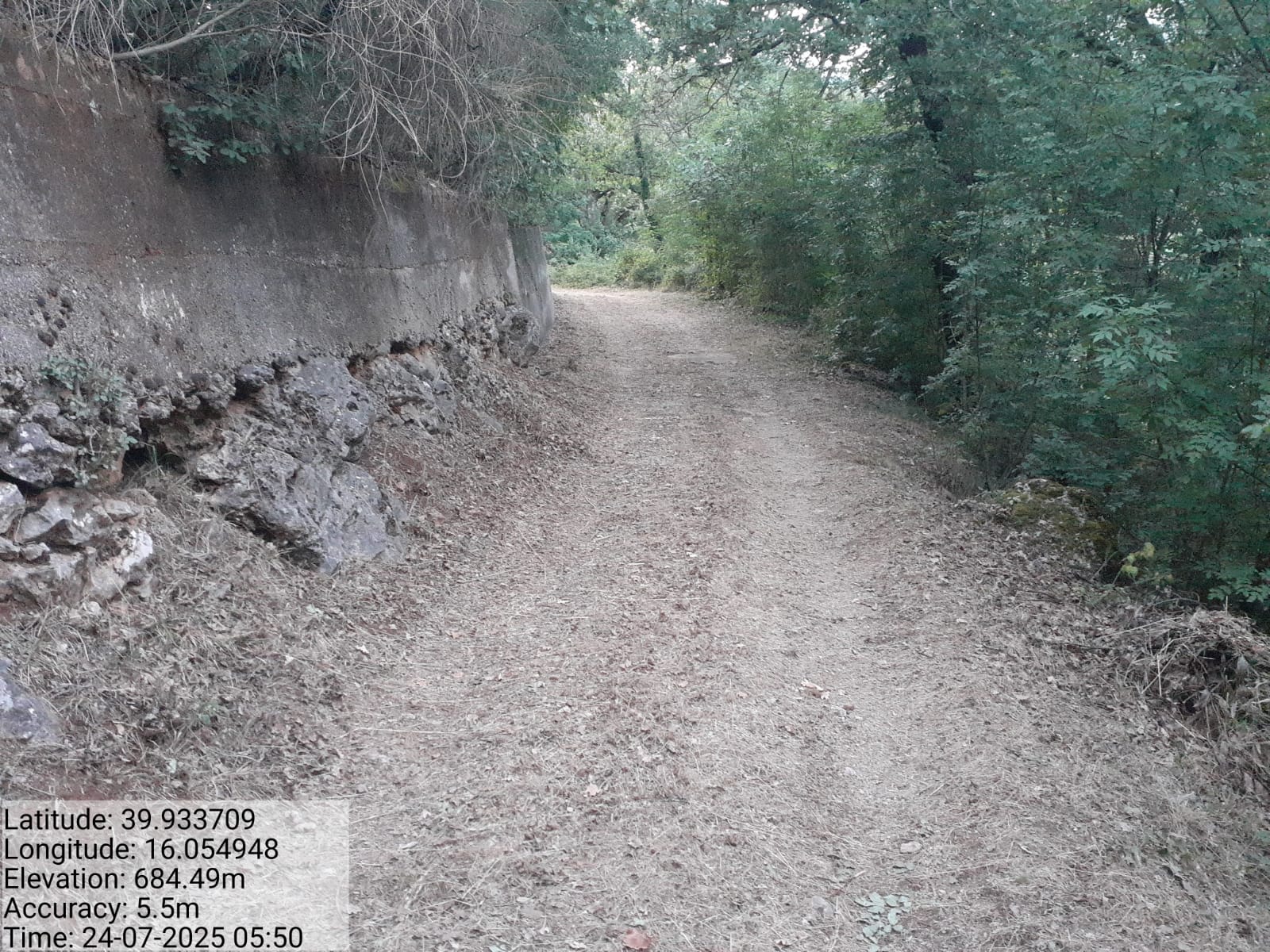 Galleria Fotografica Immagine