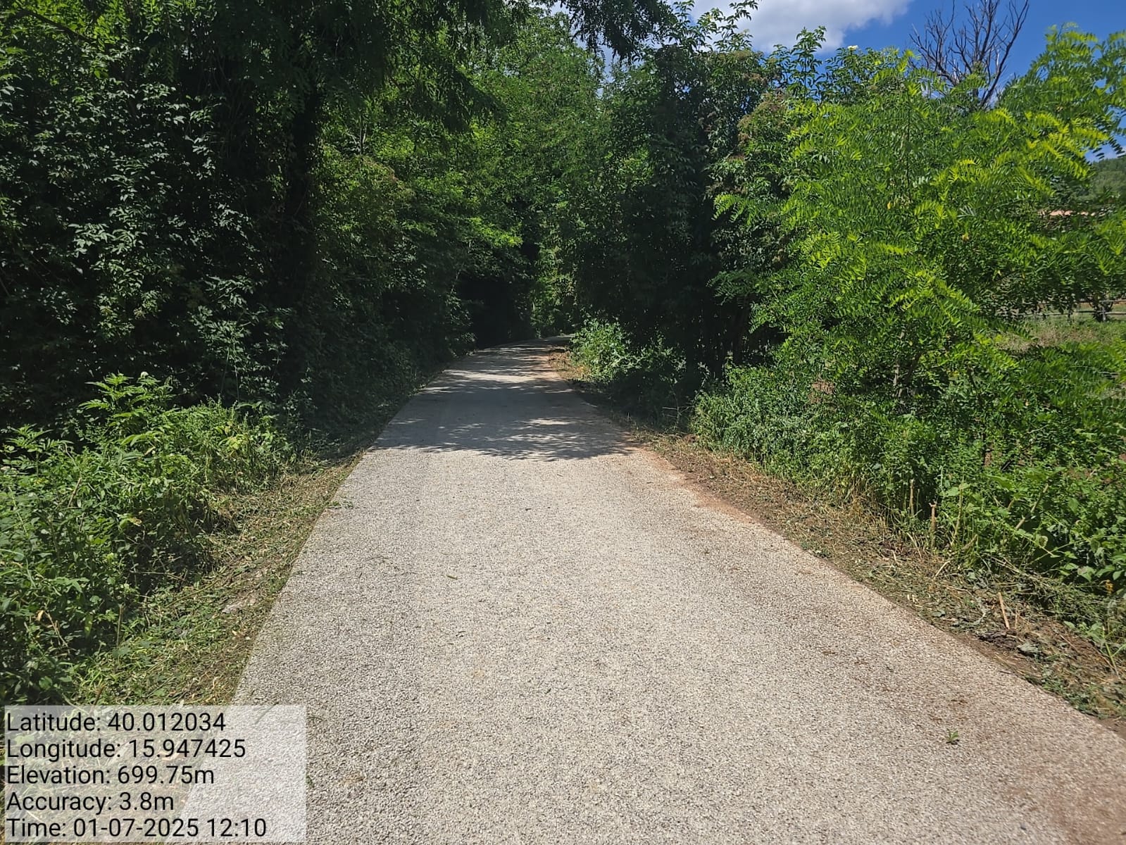 Galleria Fotografica Immagine