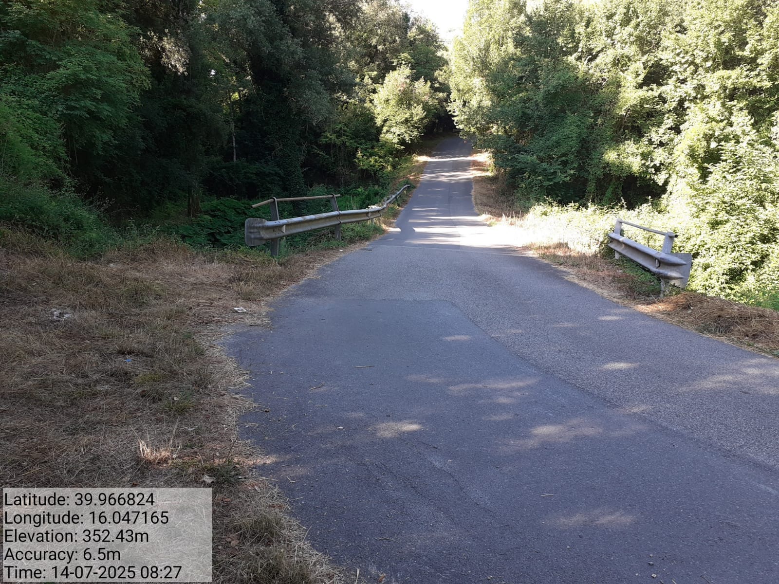 Galleria Fotografica Immagine