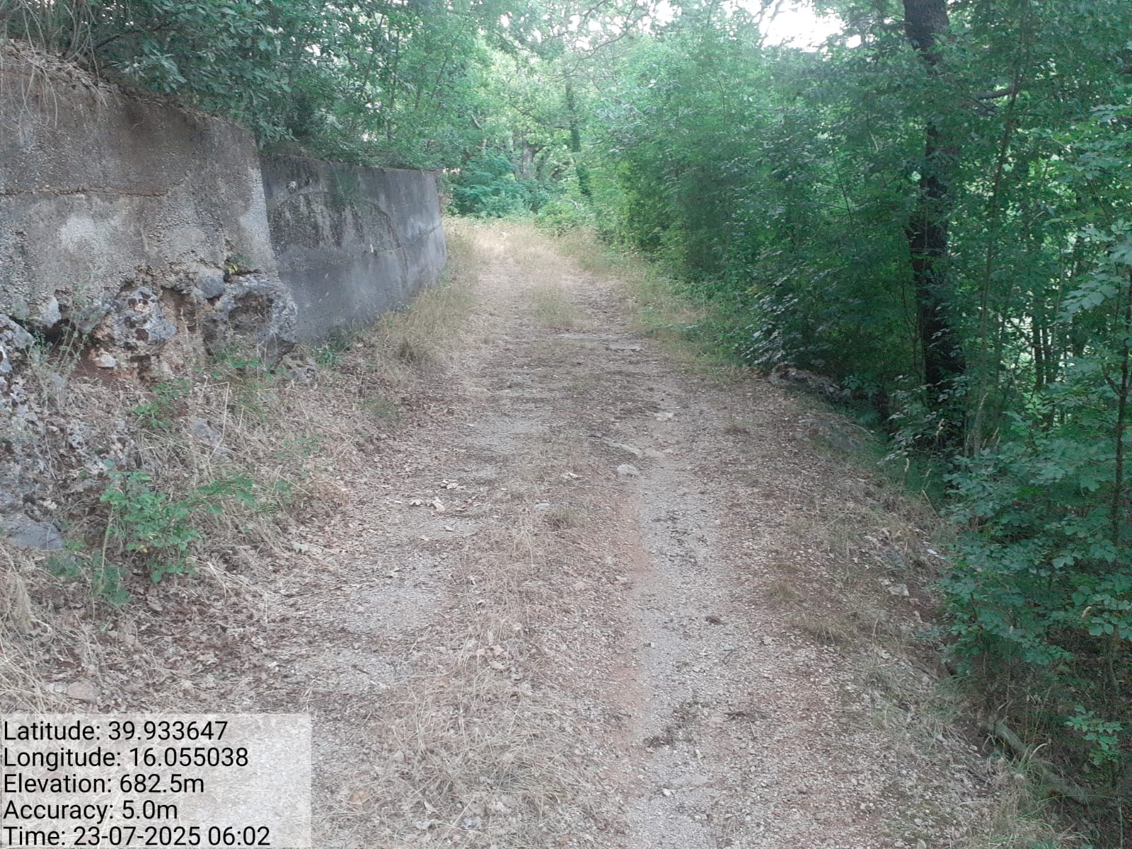 Galleria Fotografica Immagine