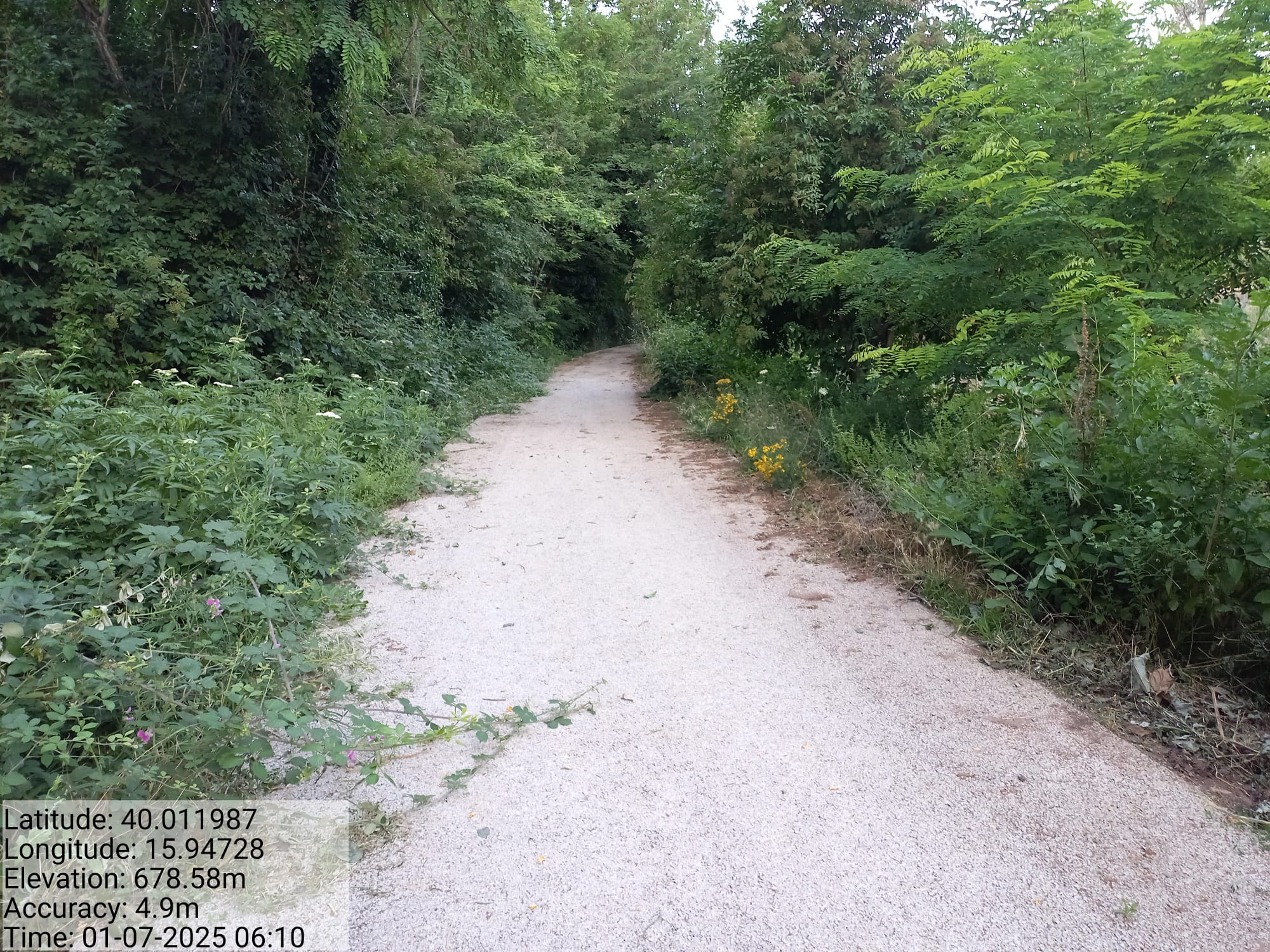 Galleria Fotografica Immagine