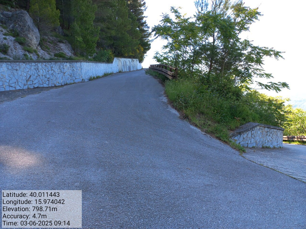 Galleria Fotografica Immagine