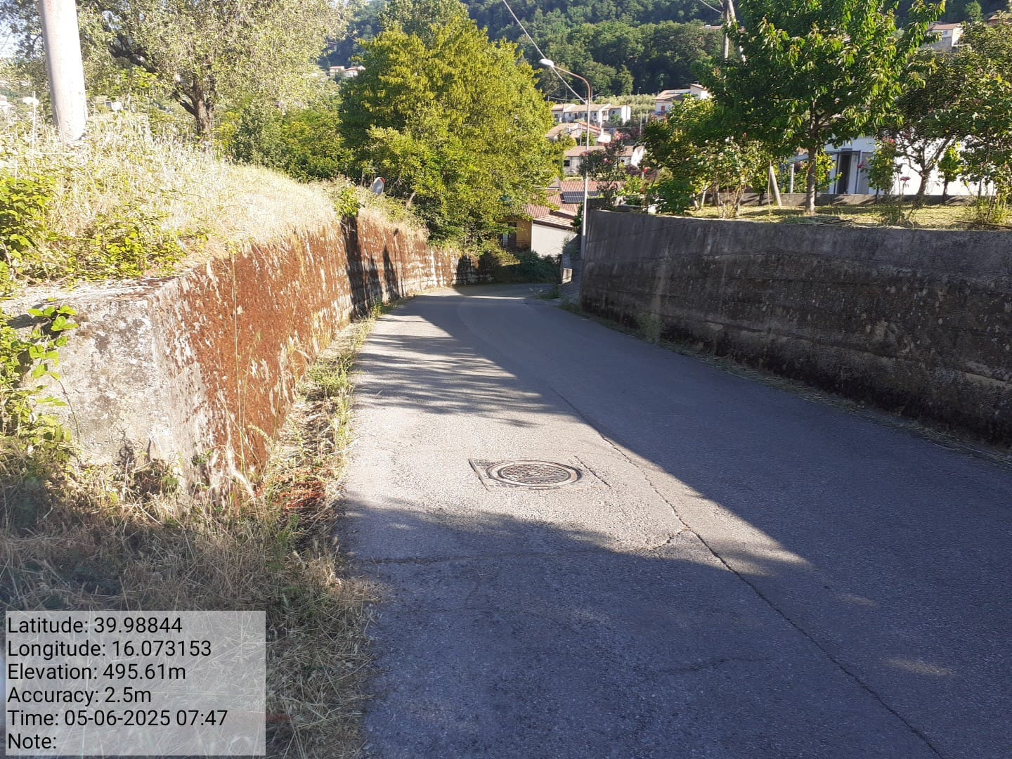 Galleria Fotografica Immagine