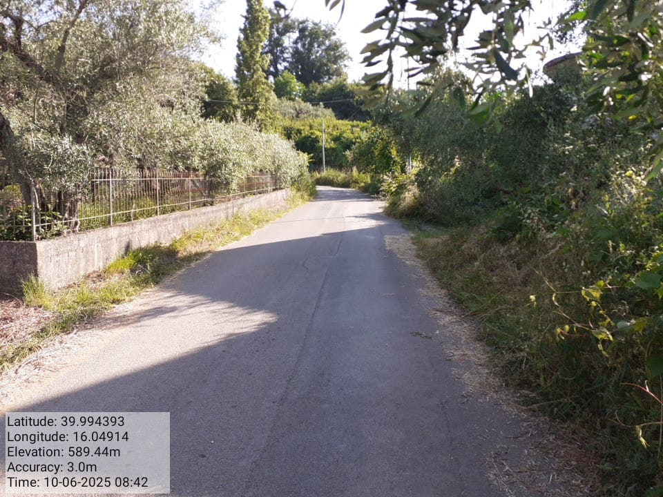 Galleria Fotografica Immagine