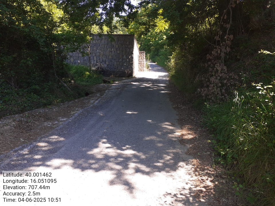 Galleria Fotografica Immagine