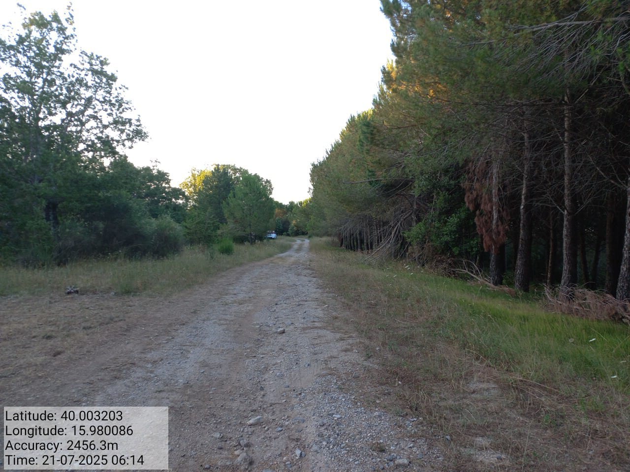 Galleria Fotografica Immagine