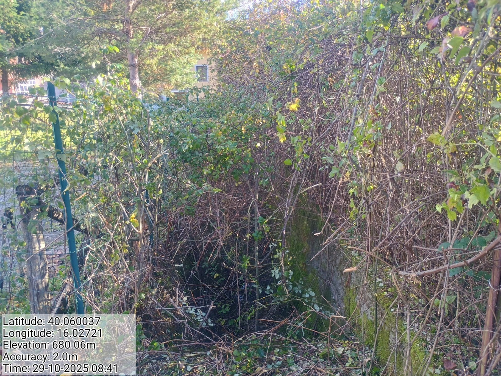 Galleria Fotografica Immagine