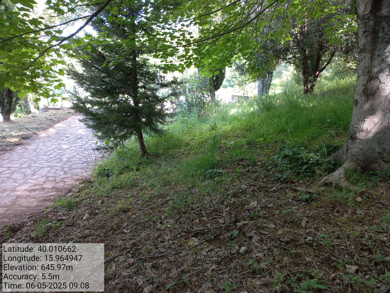 Galleria Fotografica Immagine