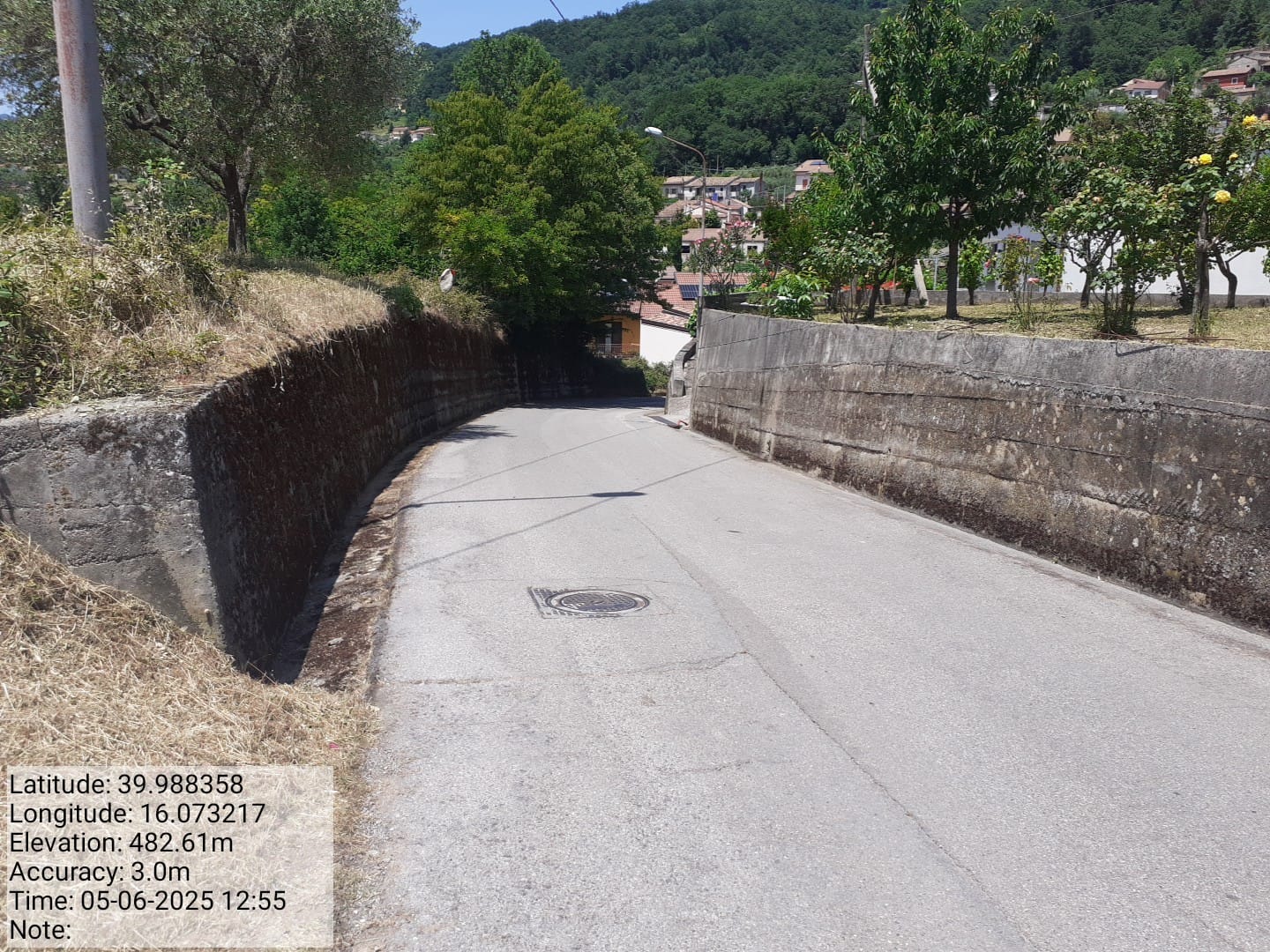 Galleria Fotografica Immagine