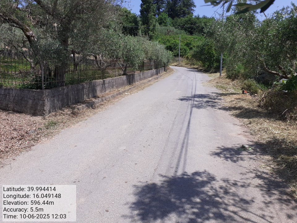 Galleria Fotografica Immagine