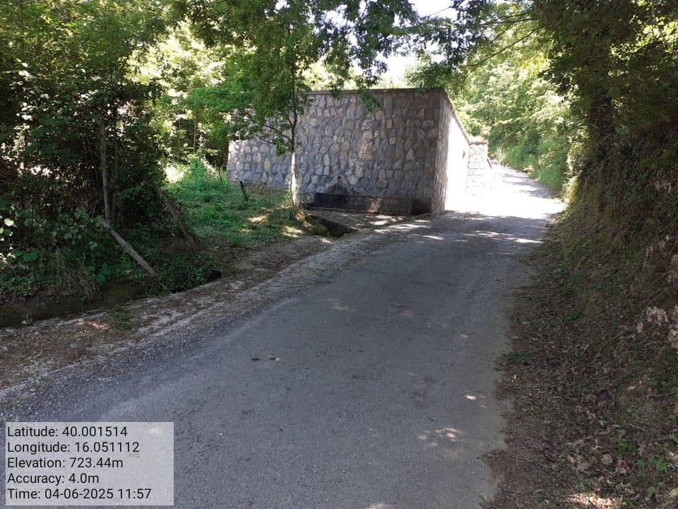 Galleria Fotografica Immagine