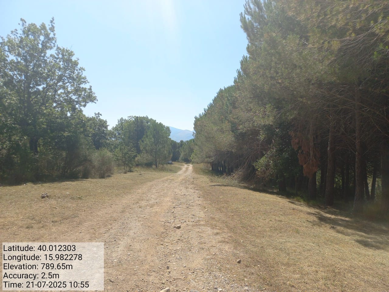 Galleria Fotografica Immagine