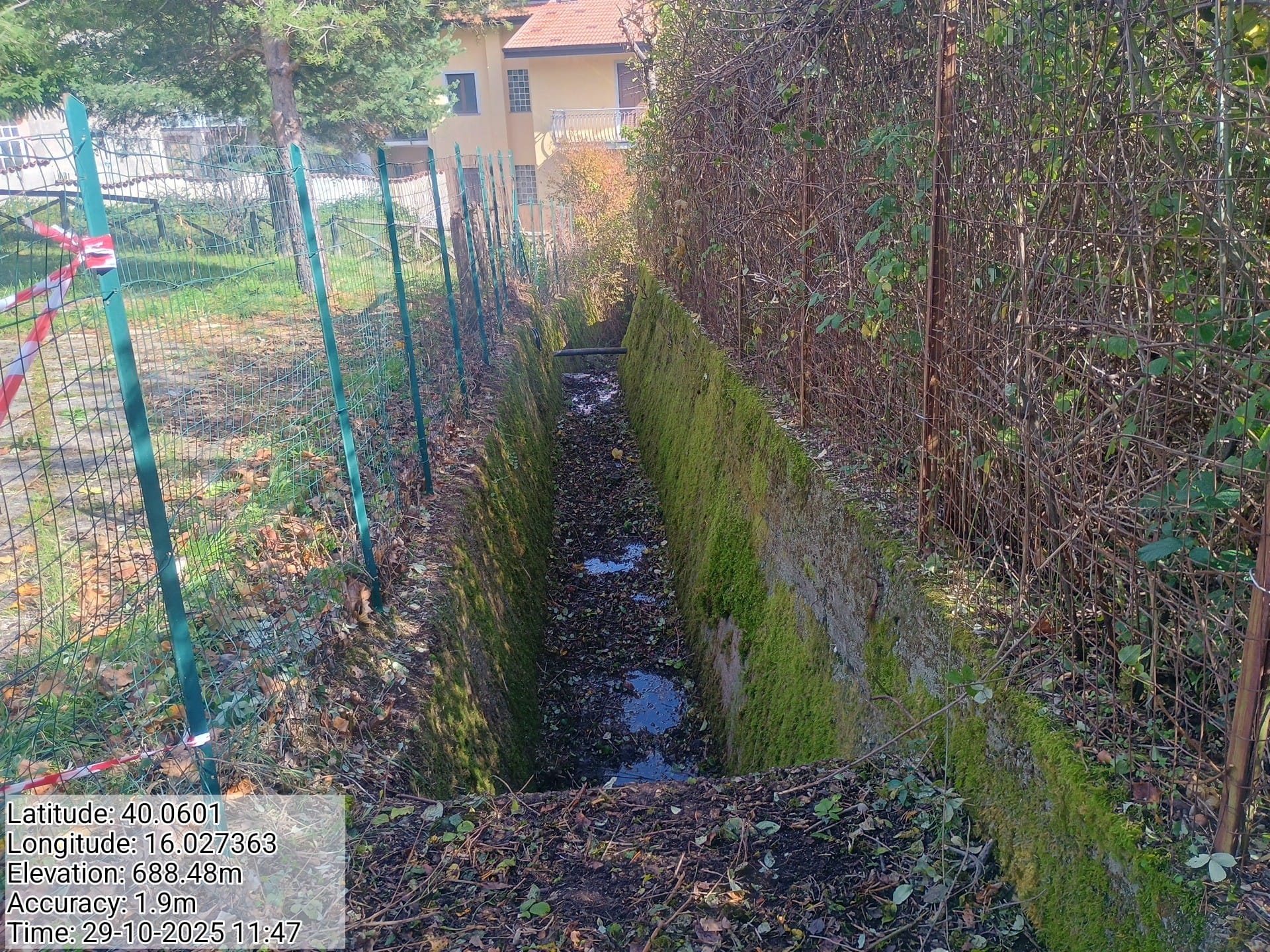 Galleria Fotografica Immagine