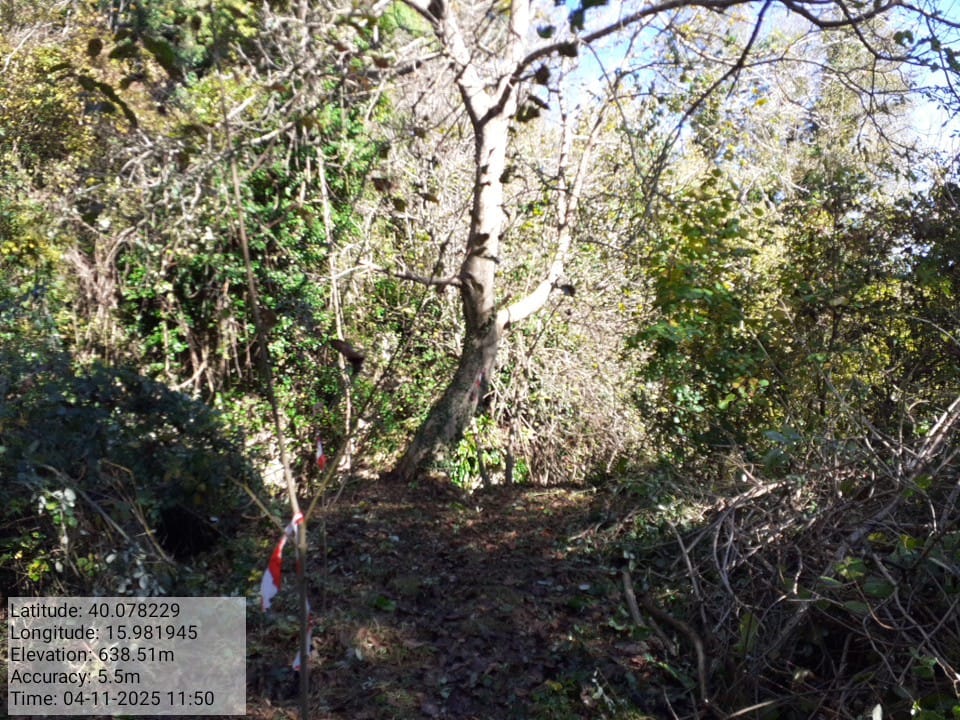 Galleria Fotografica Immagine