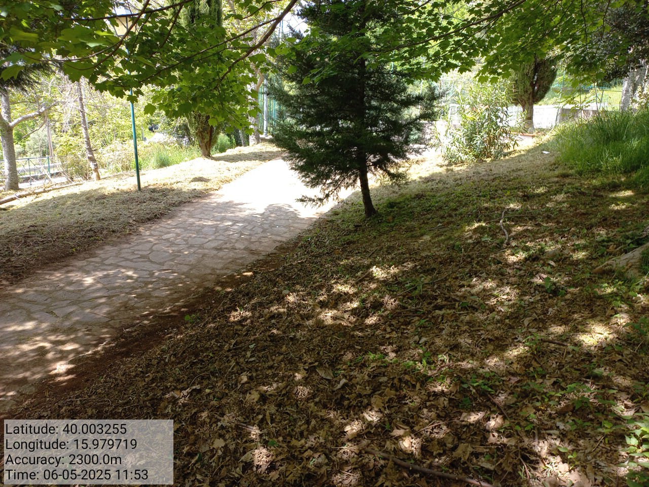 Galleria Fotografica Immagine