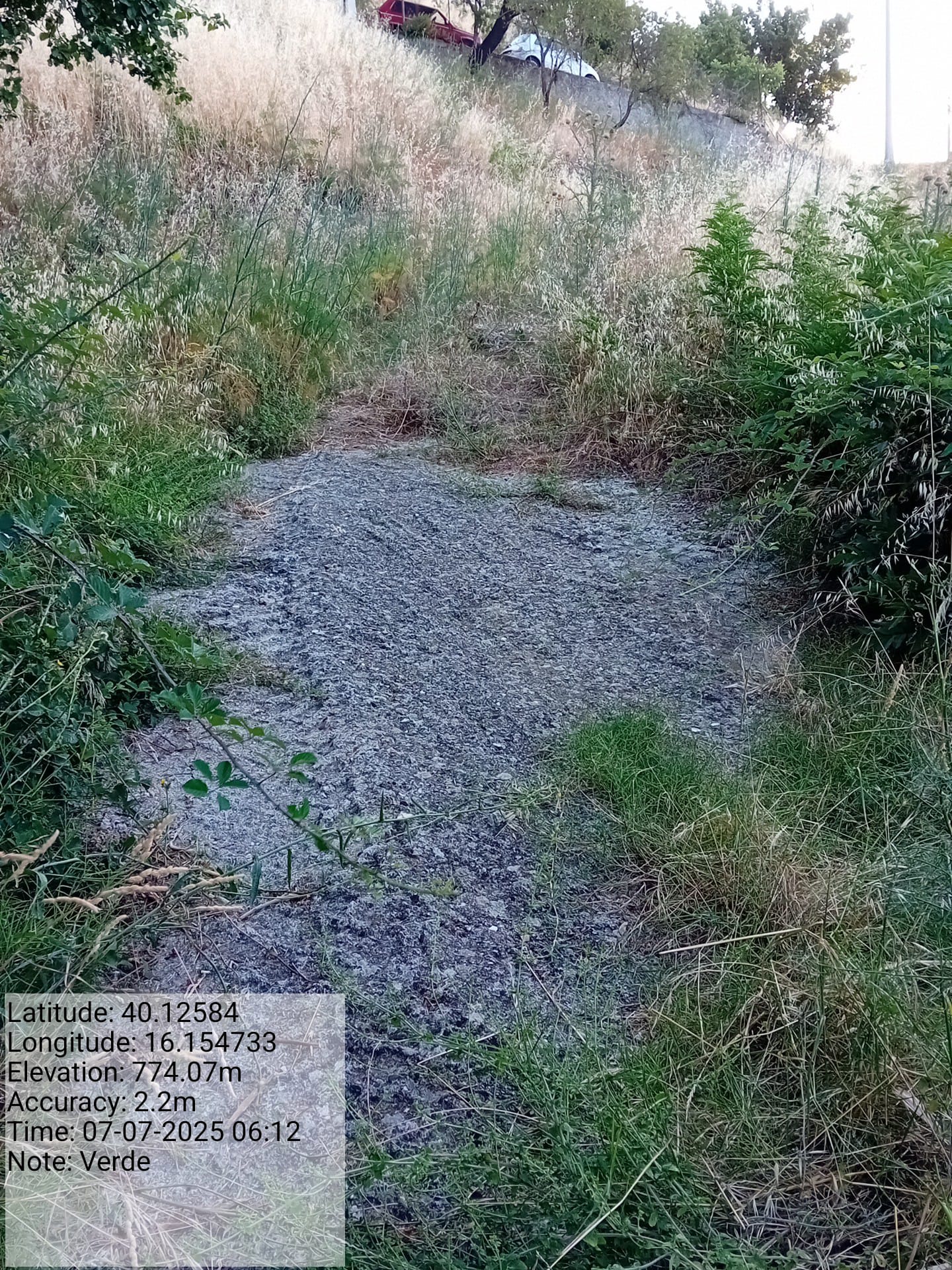 Galleria Fotografica Immagine