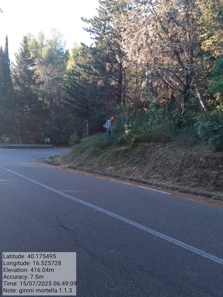 Galleria Fotografica Immagine