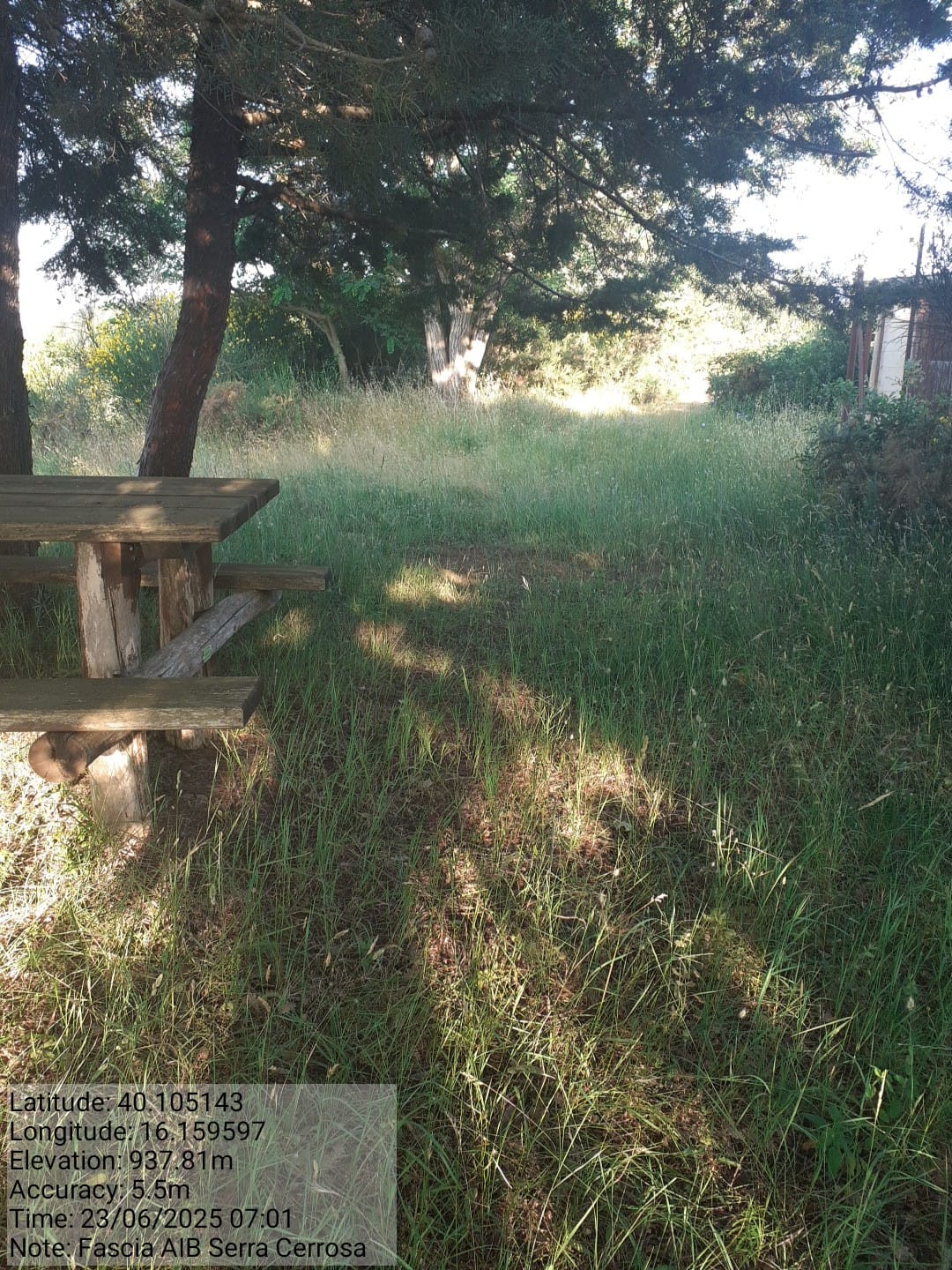 Galleria Fotografica Immagine